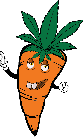 Carrot Farm