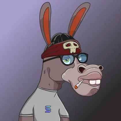 DKV NFT donkey #10