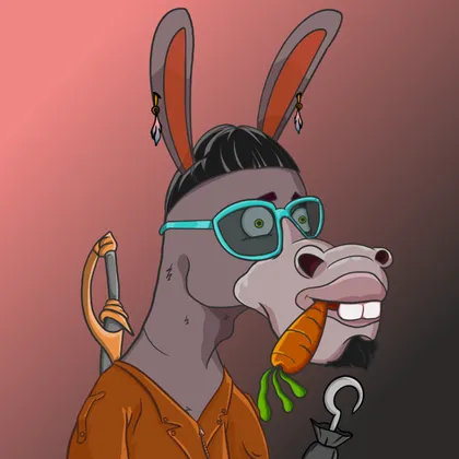DKV NFT donkey #11