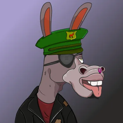DKV NFT donkey #13