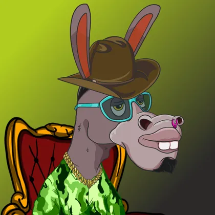 DKV NFT donkey #14