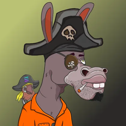 DKV NFT donkey #15