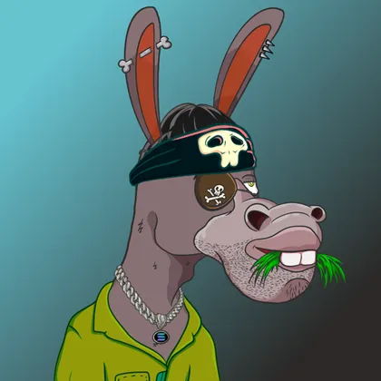 DKV NFT donkey #16