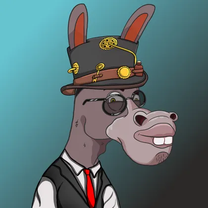 DKV NFT donkey #18