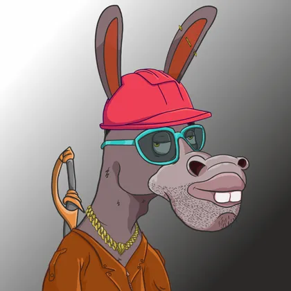 DKV NFT donkey #19