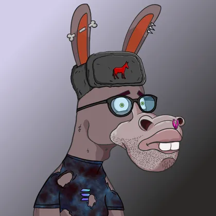 DKV NFT donkey #22