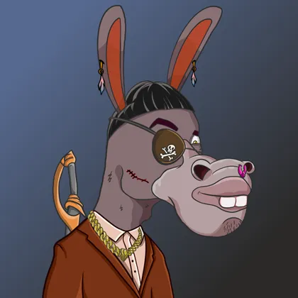 DKV NFT donkey #24