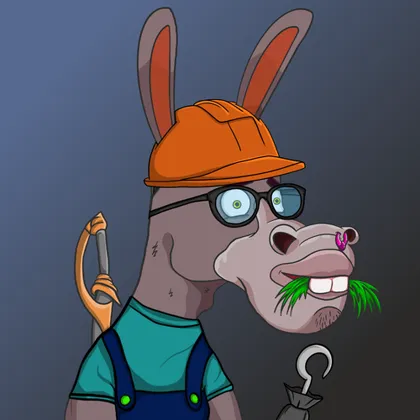 DKV NFT donkey #27