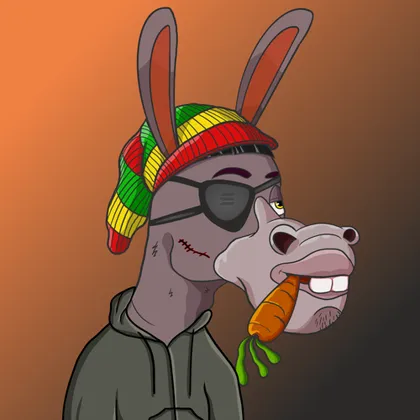 DKV NFT donkey #30