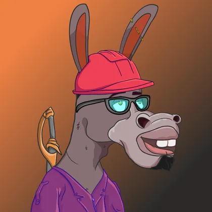 DKV NFT donkey #33