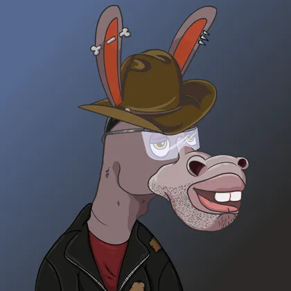 DKV NFT donkey #34