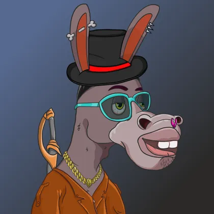 DKV NFT donkey #35