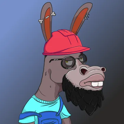 DKV NFT donkey #37