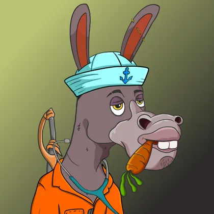 DKV NFT donkey #38