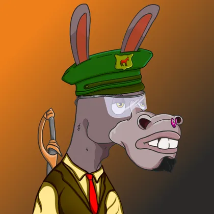 DKV NFT donkey #46