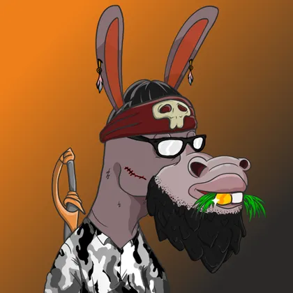 DKV NFT donkey #47