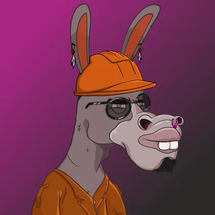 DKV NFT donkey #48